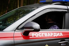 В Москве росгвардейцы задержали мужчину, находящегося в федеральном розыске  